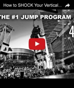 Vert Shock Program Review – WARNING! Beware The Results!